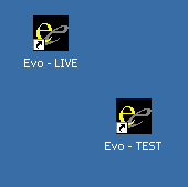 One desktop, two Evo icons