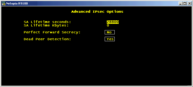 [Advanced IPSec Options]
