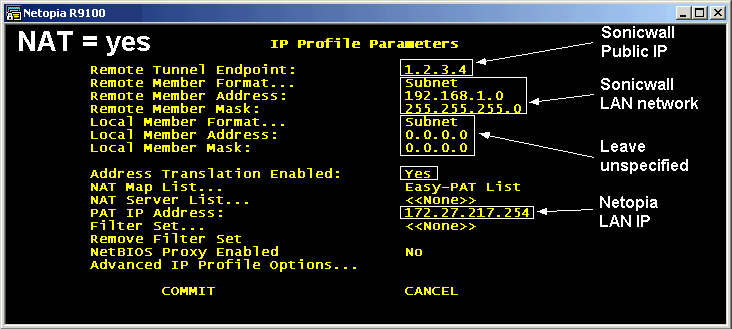 [IP Profile Parameters - NAT]