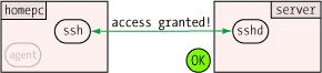 access granted